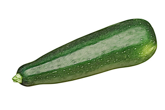 Zucchini vegetable isolated on white background.Digitally altered image.