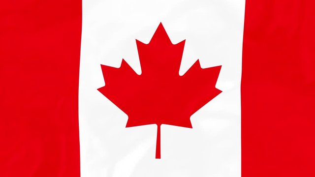 Canadian Flag - 4K Seamless Loop Animation of Waving Flag of Canada