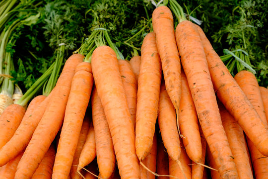Close-up detail view of carrots on the market