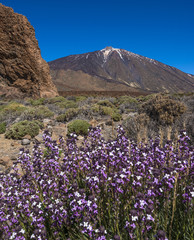 Fototapeta premium Teide National Park, Tenerife, Canary Islands