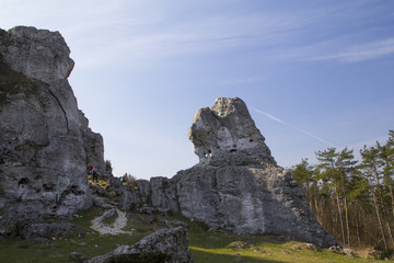 Skały wapienne - Góra Zborów