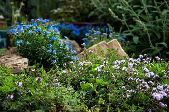 miscuglio di fiori azzurri e rosa con pietre 