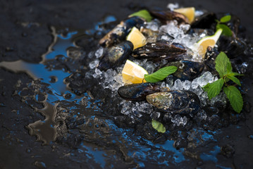 Fresh uncooked mussels with lemon, herbs and spices on chipped ice over dark slate stone backdrop