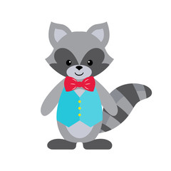 raccoon clothing