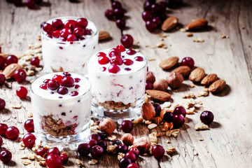 Sweet dessert with cranberries, yogurt, cereal, oatmeal and nuts