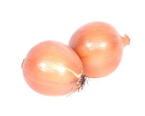 Fresh organic onion separated on white background