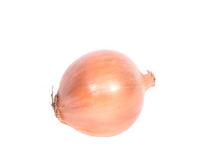 Fresh organic onion separated on white background