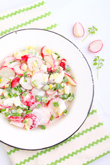 salad with radish , green onion and egg in a white plate. white background.
