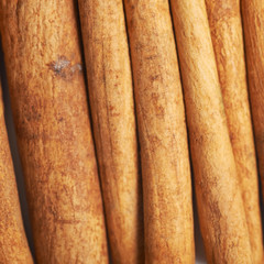 Surface covered with cinnamon sticks