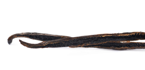 Dried vanilla pod fruit isolated
