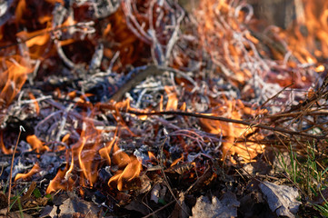 Bonfire closeup witth smoke