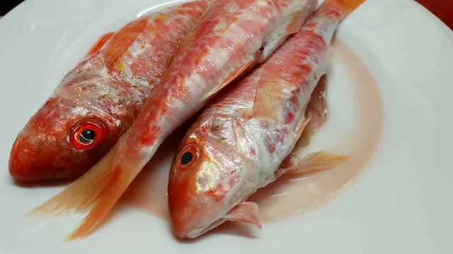 Red fresh mullets on a white plate. Raw striped red mullet fish (surmullet).