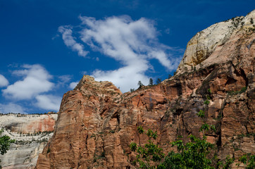 Fototapeta na wymiar Zion National Park Utah, USA