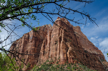 Zion National Park Utah, USA