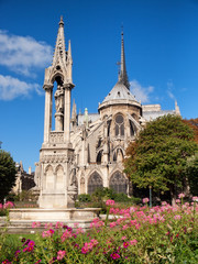 Fototapeta na wymiar Notre Dame from Square du Jean XXIII, Paris. Vertical shot, full length, flowers on foreground
