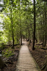 Obraz premium Scenic Pathway Outdoors