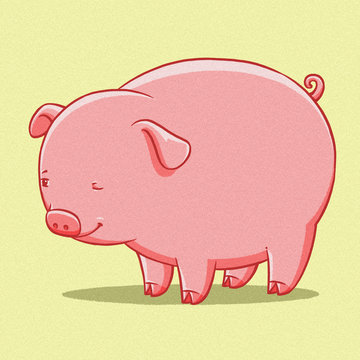 funny cartoon cute  fat pig illustration