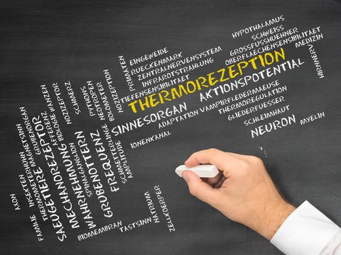 Thermorezeption