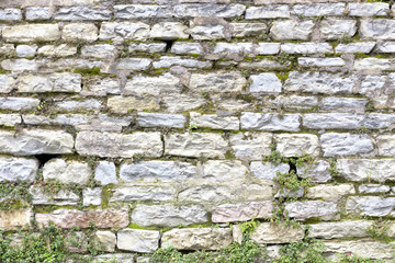 Stone wall with some vegetation