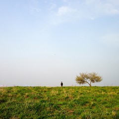 Man in the horizin and tree. Minimalistic