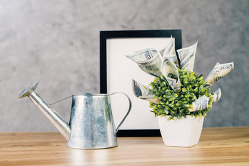 Desktop with watering-can and plant