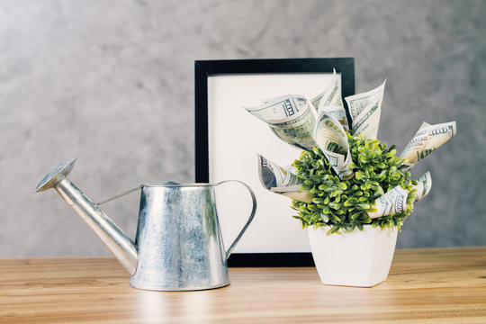 Desktop with watering-can and plant