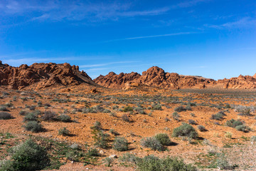 Fototapeta premium Death Valley Landscape
