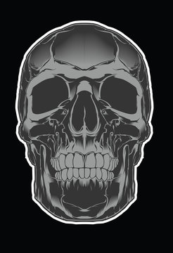 skull illustration 