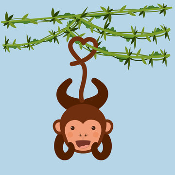 cute monkey  design 
