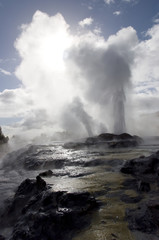 Pohutu Geyser - Rotorua - New Zealand