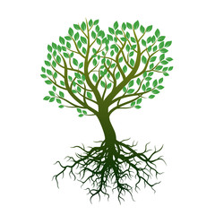 Fototapeta premium Color Tree and Roots. Vector Illustration.