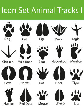 Icon Set Animal Tracks I