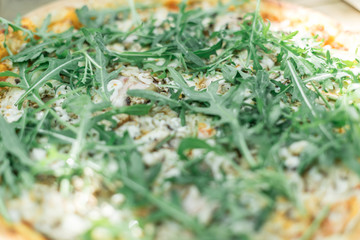 on the wood background