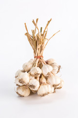 bunch of garlic isolated white background