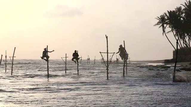 Sri Lanka stilt fisherman at sunset