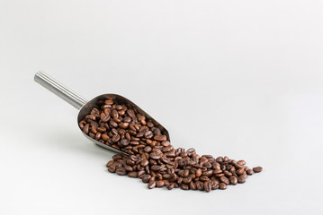 coffee bean in stainless steel shovel on gray  background