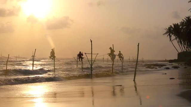 Sri Lanka stilt fisherman at sunset