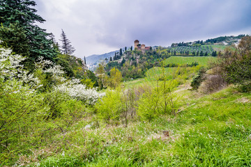Fototapeta na wymiar the green countryside around the fortress