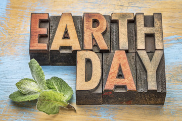 earth day in wood type