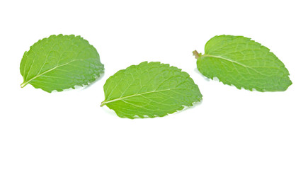 Naklejka na ściany i meble three fresh mint leaves isolated on white background