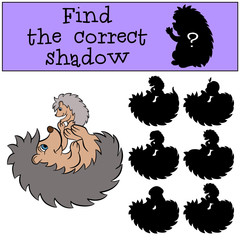 Children games: Find the correct shadow. Mother hedgehog plays with her little cute baby hedgehog.