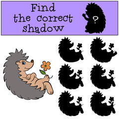 Children games: Find the correct shadow.Little cute hedgehog sits and holds a flower in the paw.