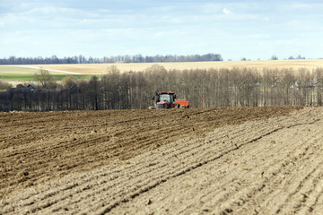 Fototapeta premium agricultural field with cereal 
