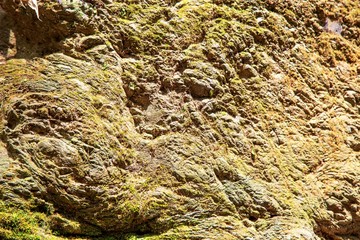 Stone natural background