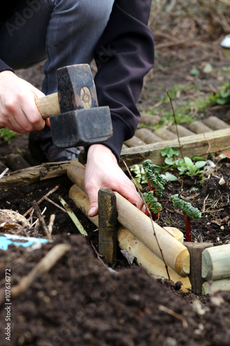 blumenbeet abgrenzung