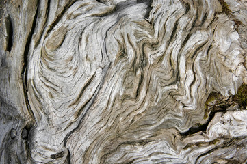 Twisted wood texture