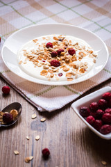 Homemade yogurt with granola and dried cranberries