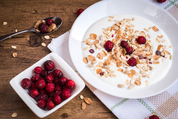 Homemade yogurt with granola and dried cranberries