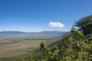 Panoramic view of huge Ngorongoro caldera (extinct volcano crater). Tanzania, East Africa. 
