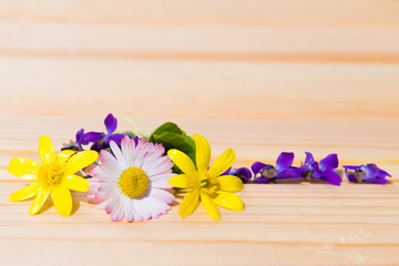 summer flower on wooden table background. flower on wooden background. spring still life
